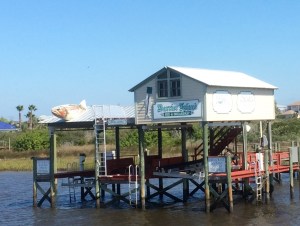 Check out the Barrier Island Bed and Breakfast ! We heard the fishing was "Through the roof"