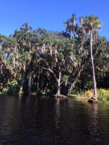 Can't you just imagine the good times that have been had with this rope swing out over the water!