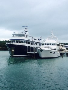 At 120' The Andrea Cay dwarfs the very beautiful 86' Nordhaven. Our lovely neighbors!