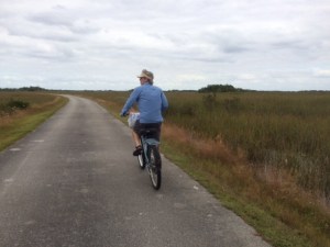 Last 8 miles into a head wind were very challenging !