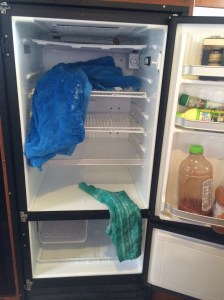 Great day for defrosting the frig...