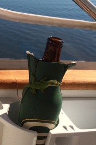 And who knew he was a Packer Fan! Guess it's the team colors that he digs!