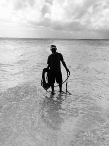 We spent a fantastic hour digging out and unwrapping this coil of rope from a tangles mess of tree roots. Don't let it be said that  children should have all the fun!