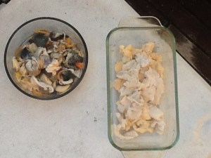 Fish food on left Yummy ingredients for Conch salad on right