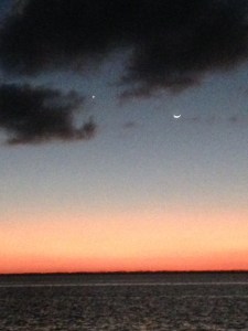 New moon with Venus over his left shoulder racing towards the horizon!