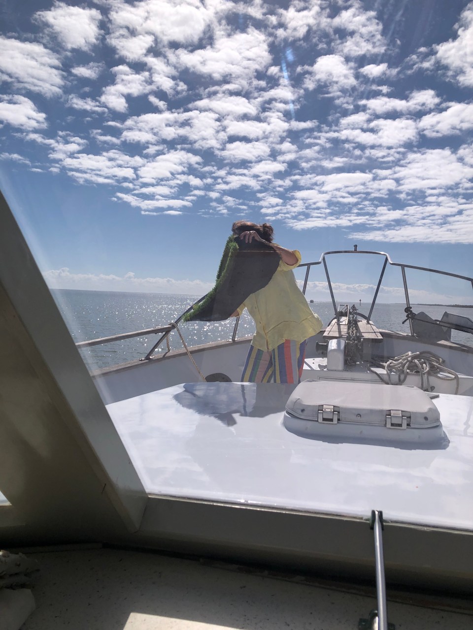 5193C29A-0656-4FFD-A5F3-769A71206681