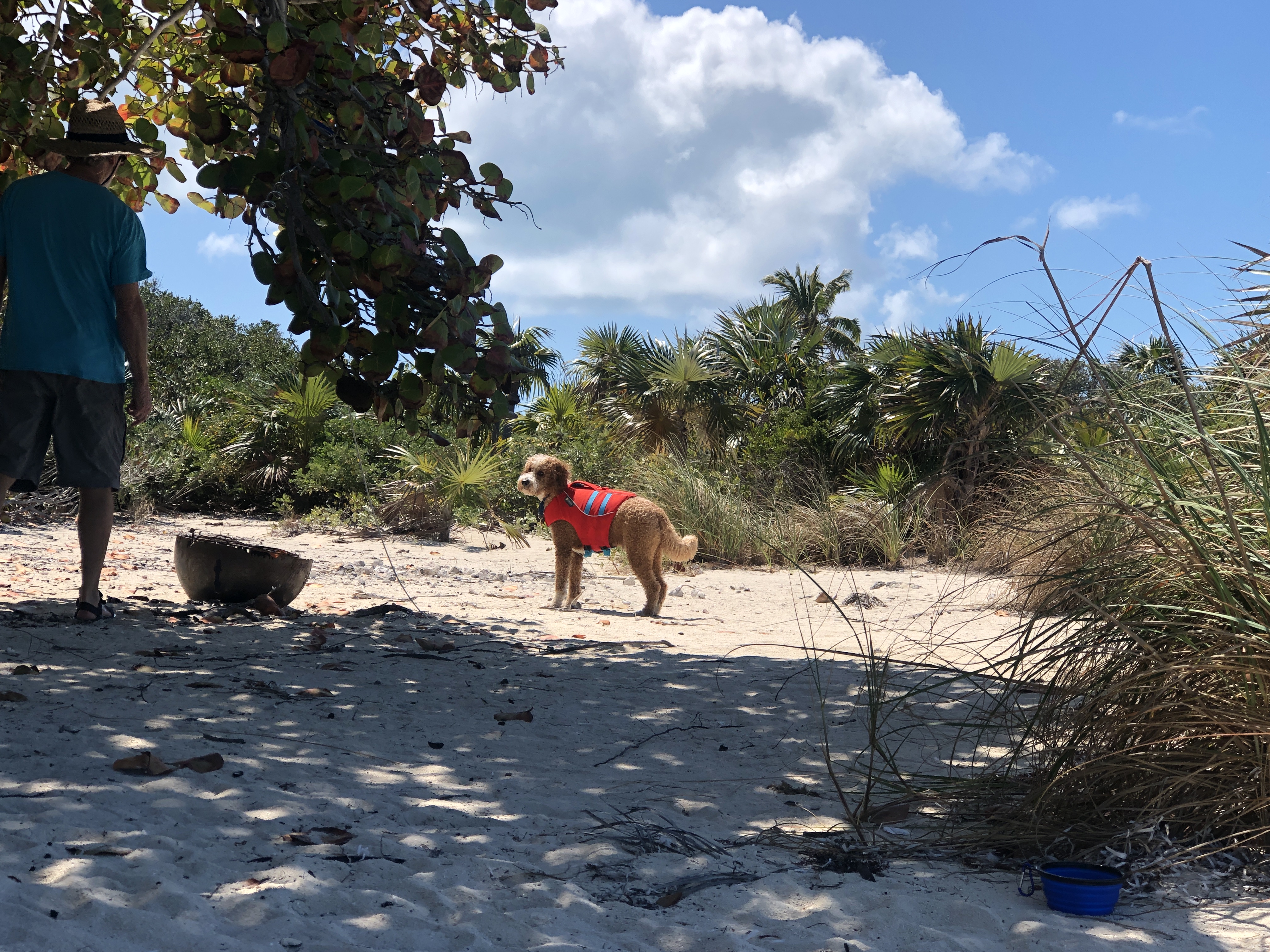 A872C52F-2DB0-43D8-BD2E-94B64DEEB562