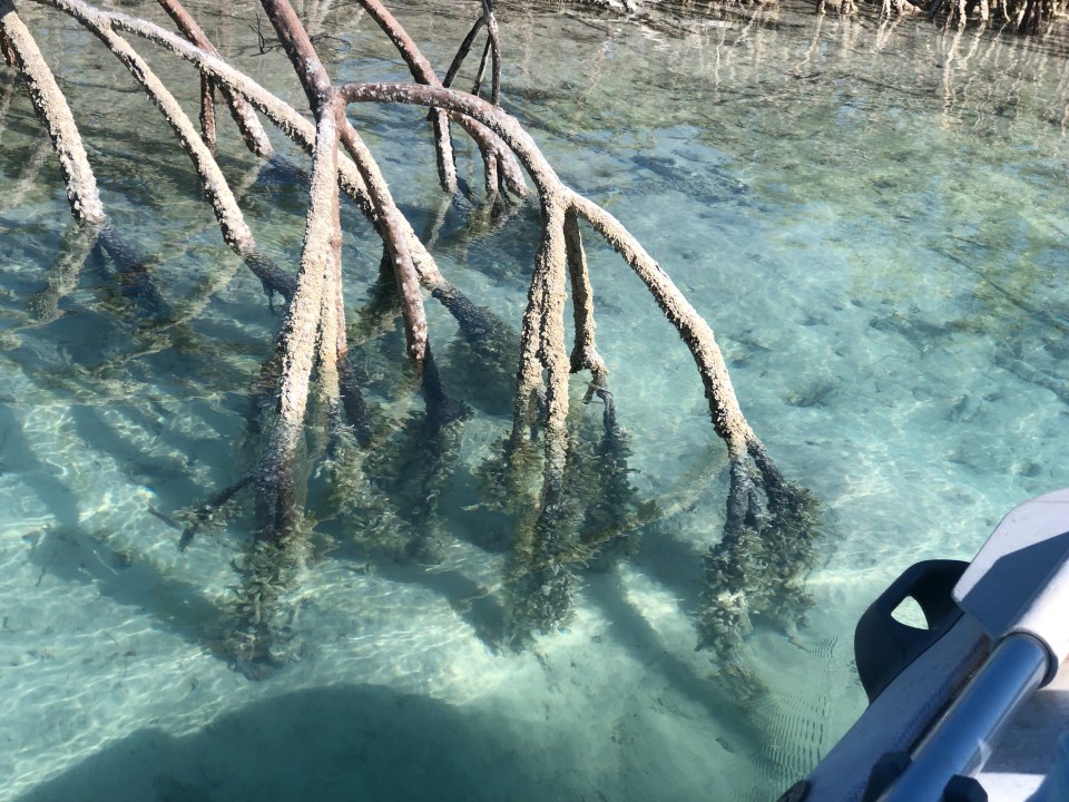 D8C8B167-1263-485F-9ACD-8743BAD9A55E