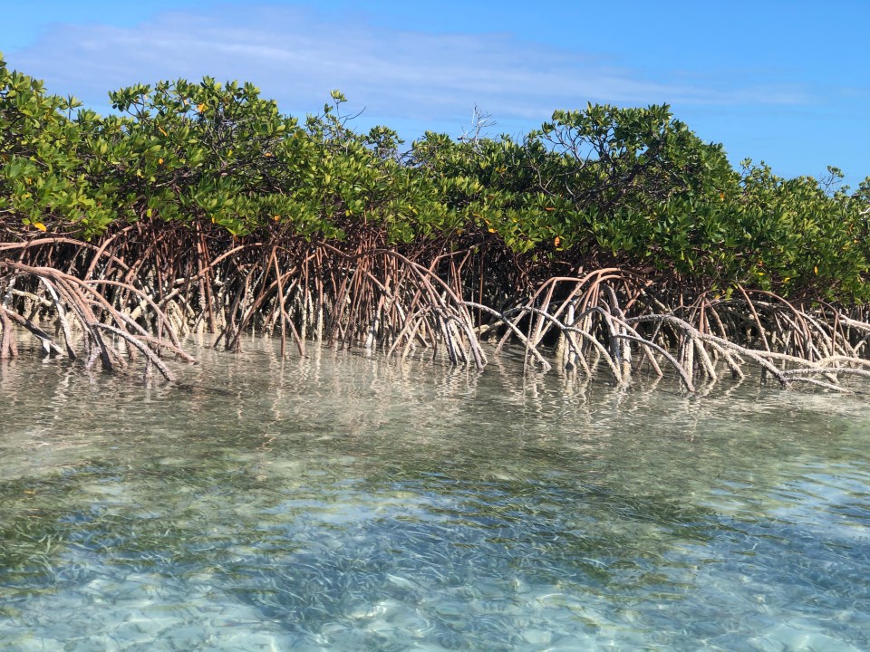 DC60EC6D-994A-48A4-B979-3A0DBA57F3F6