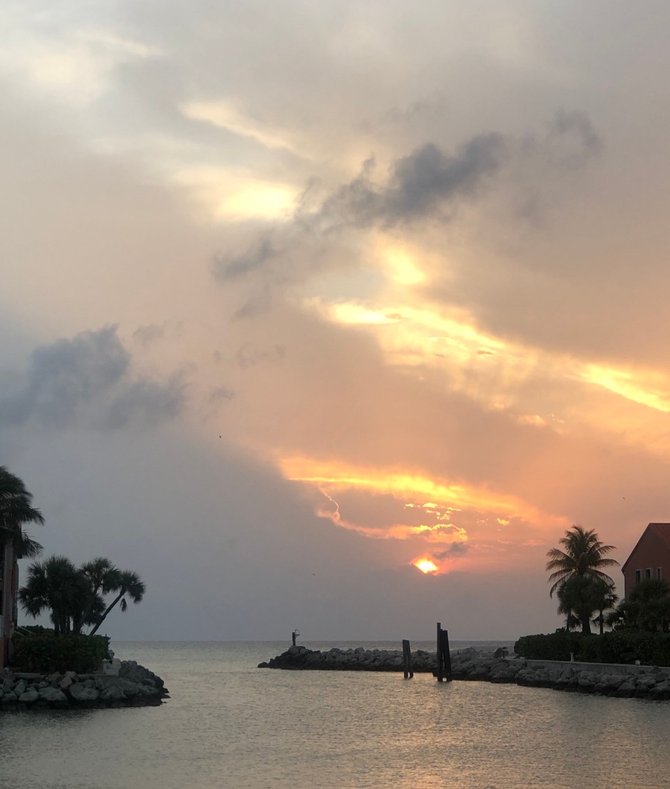 1F6853AD-E2EE-4A03-BFF9-B18032DF2823