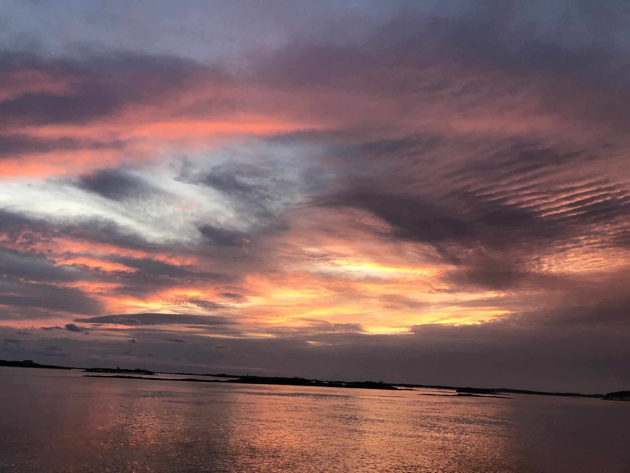 FF68642E-4FF1-4E53-A8DB-C8CF9927ACD8