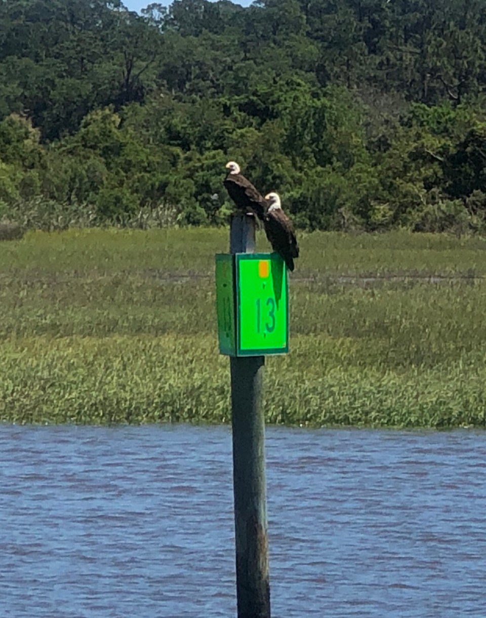 8F3C918A-2015-4236-83E6-091E2346C401